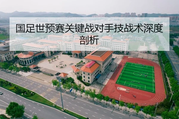 国足世预赛关键战对手技战术深度剖析