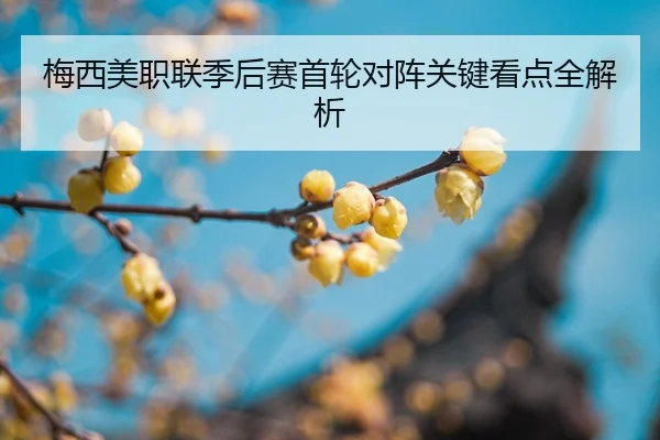 mei-xi-mei-zhi-lian-ji-hou-sai-shou-lun-dui-zhen-guan-jian-kan-dian-quan-jie-xi-2-321.jpg